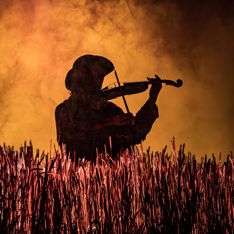 Fiddler on the Roof