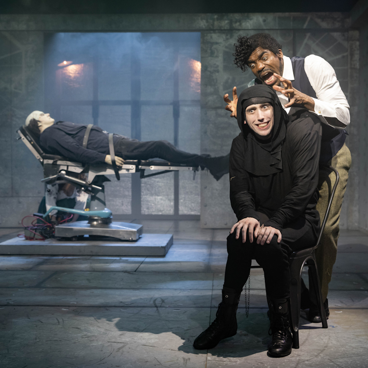 Mel Brooks' Young Frankenstein - The Musical