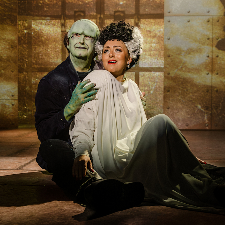 Mel Brooks' Young Frankenstein - The Musical