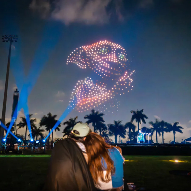 DroneArt Show: Harry Potter