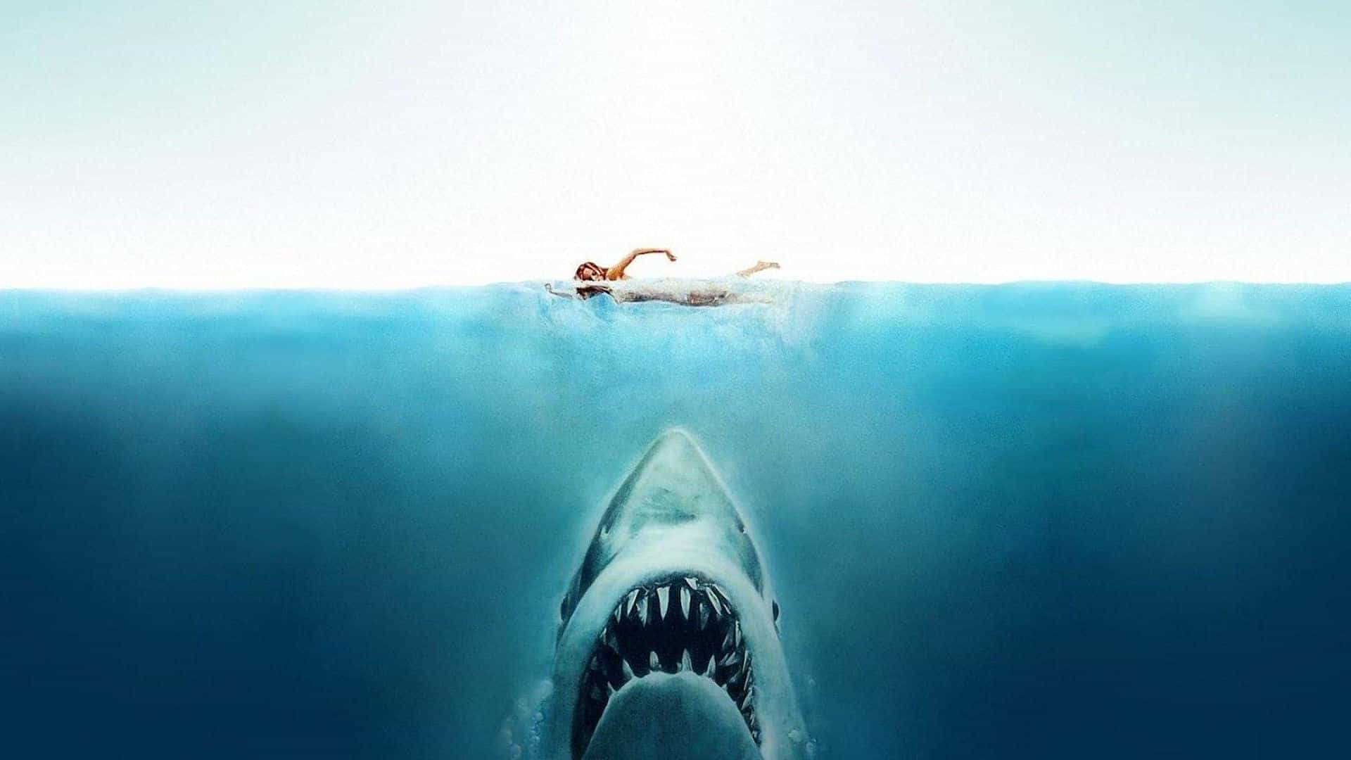 Jaws (1975)