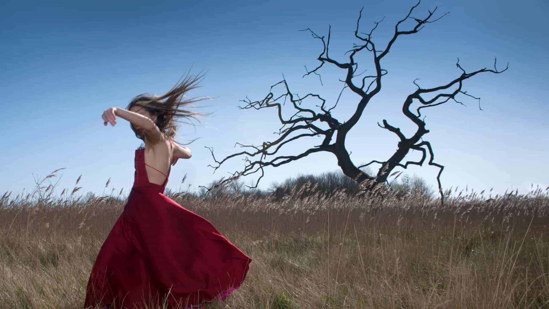 Agudo Dance - Carmen