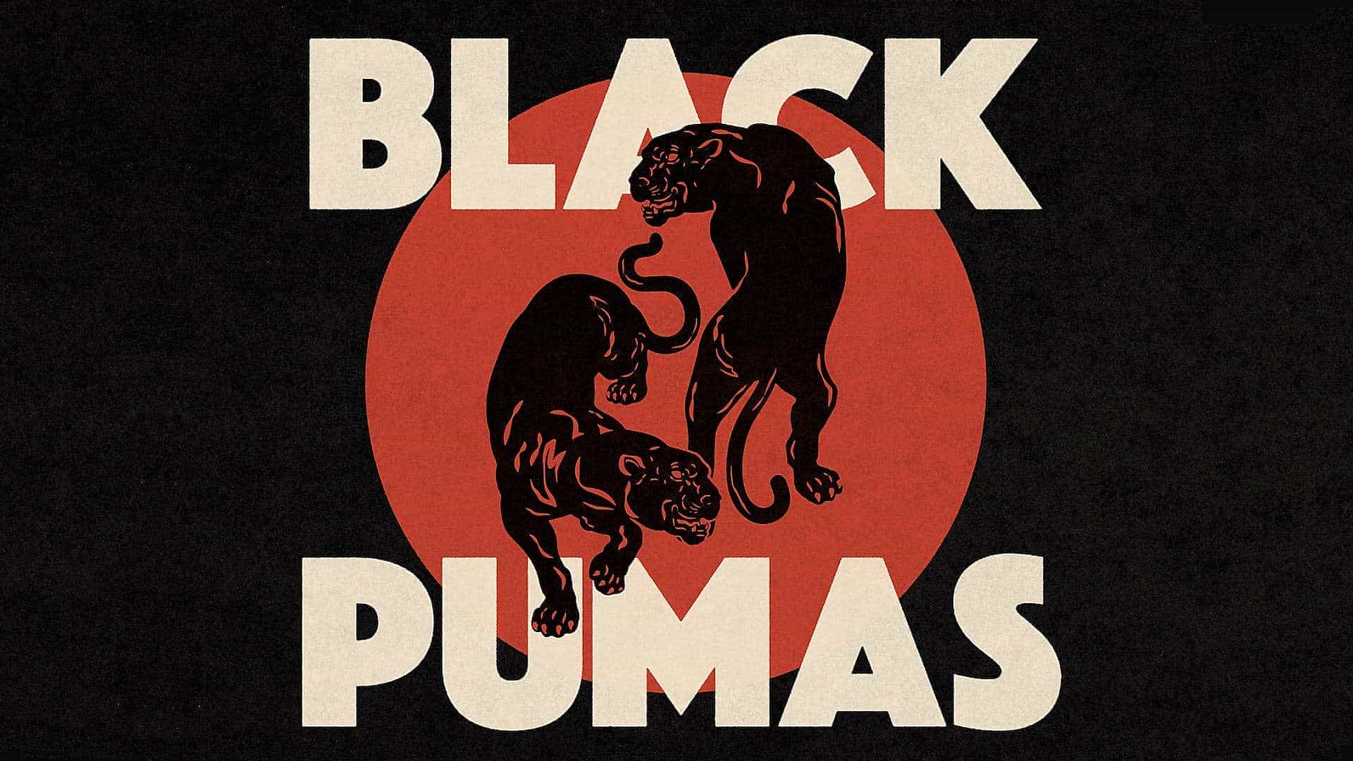 Black Pumas