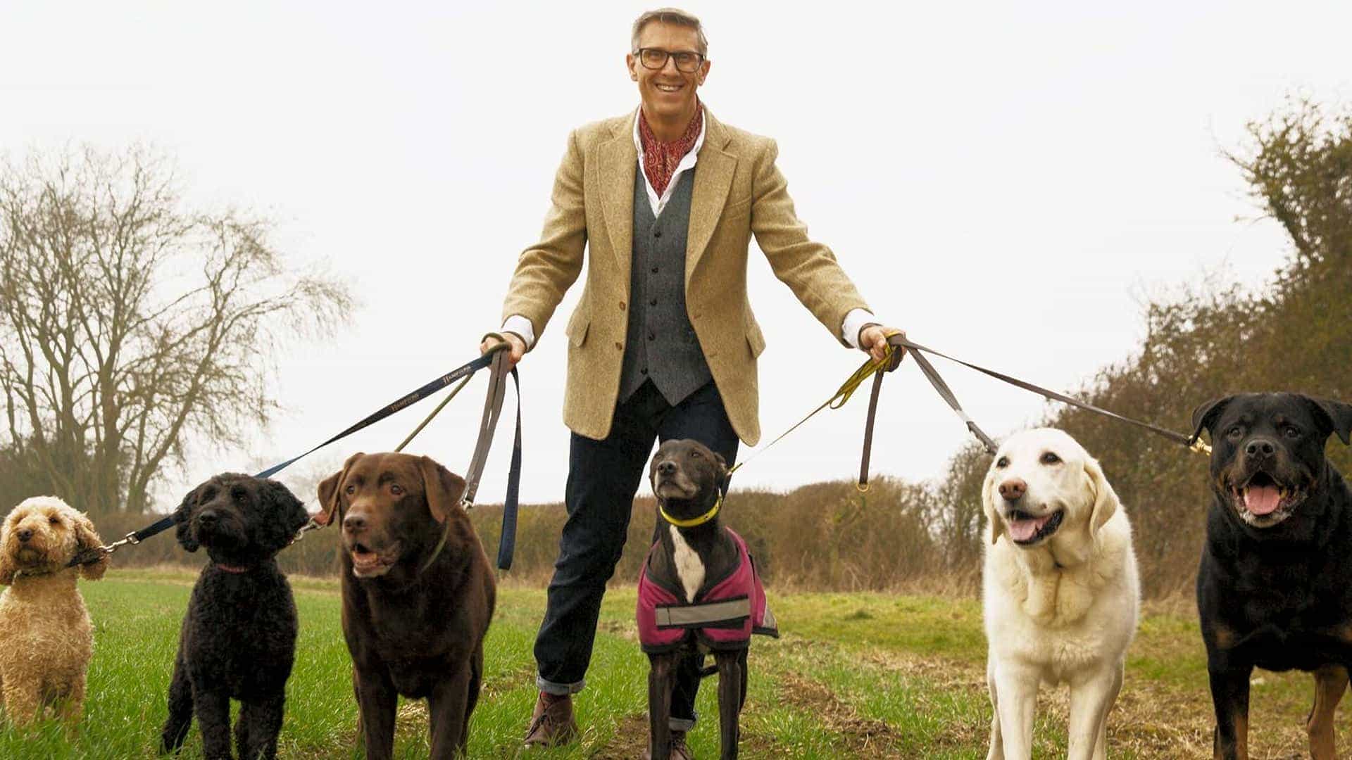 Graeme Hall - The Dogfather