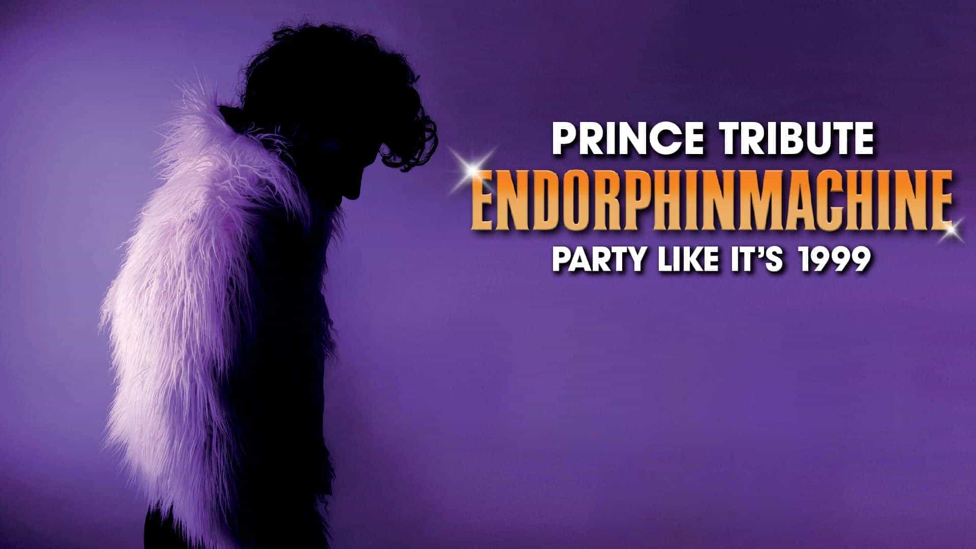 Endorphinmachine - Prince Tribute