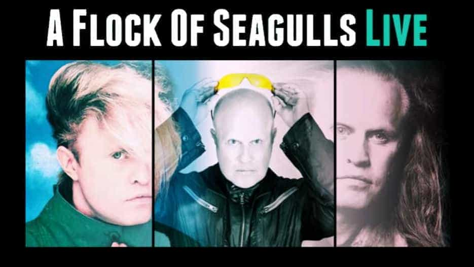 A Flock Of Seagulls