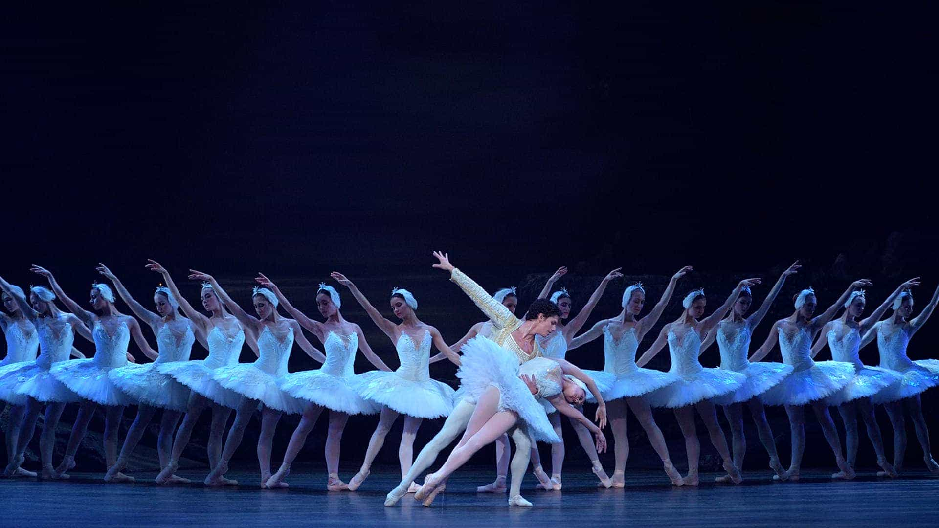 English National Ballet - Swan Lake