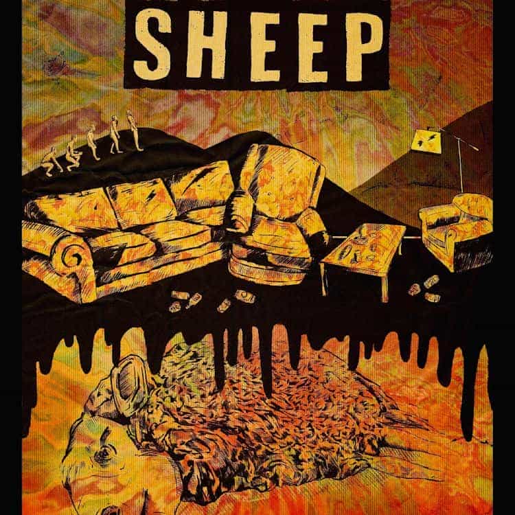 Sheep