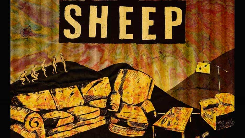 Sheep