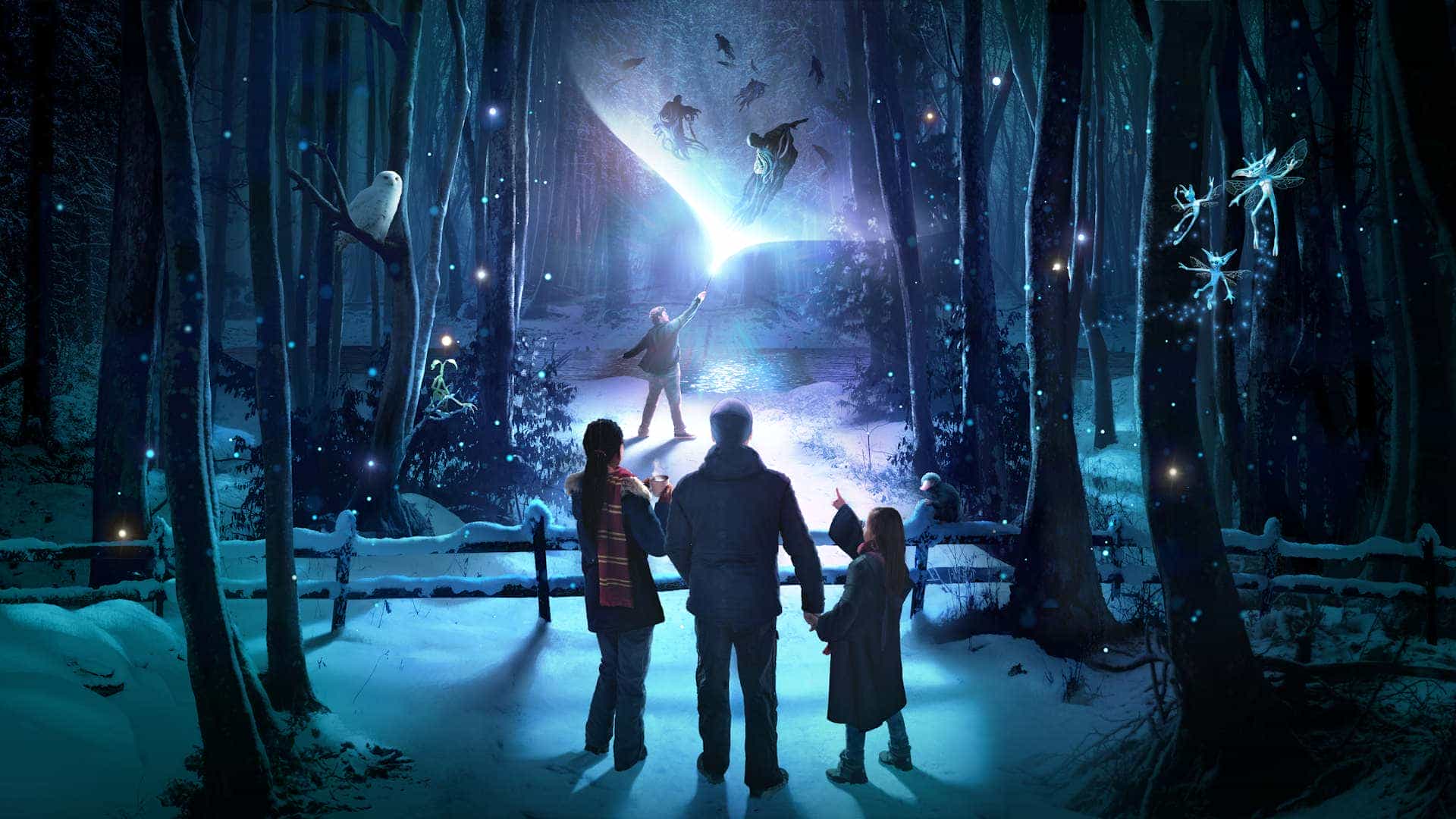 Harry Potter: A Forbidden Forest Experience
