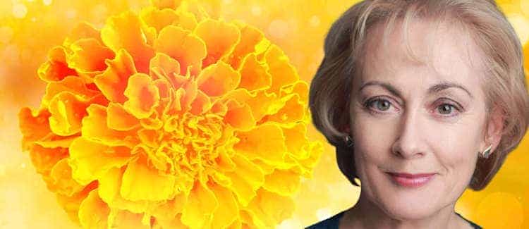 Paula Wilcox