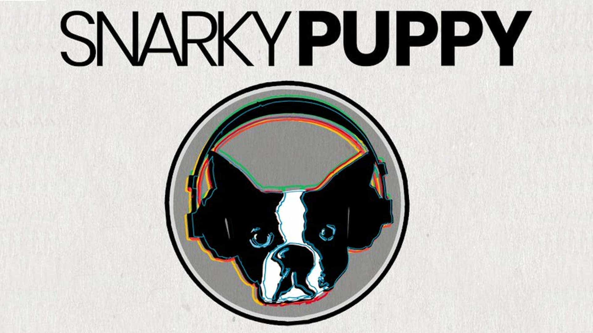 Snarky Puppy