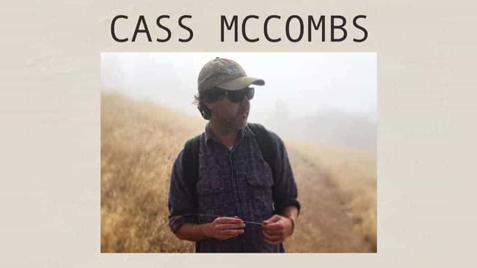 Cass McCombs