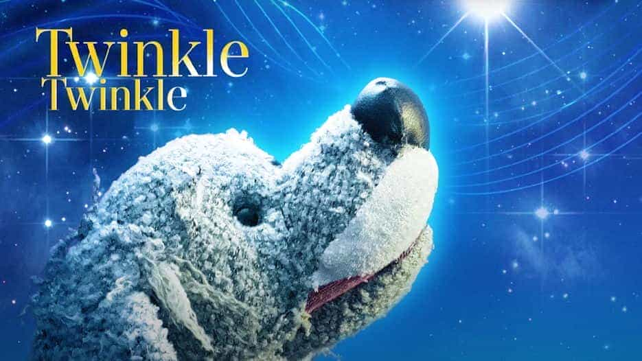 Twinkle Twinkle