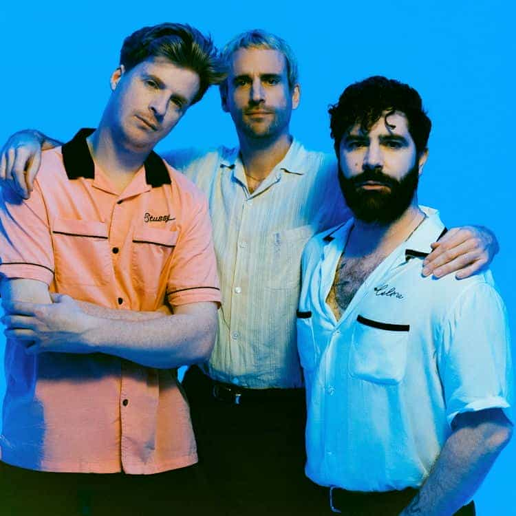 Foals