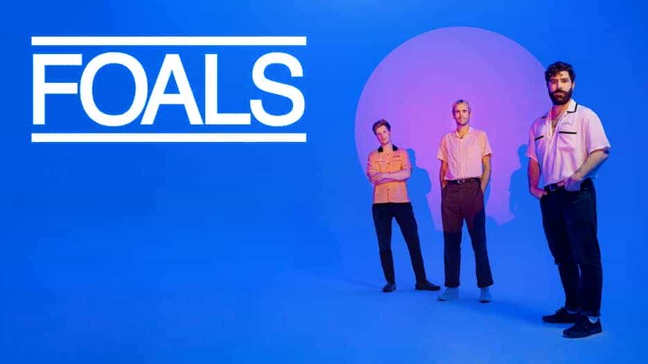 Foals