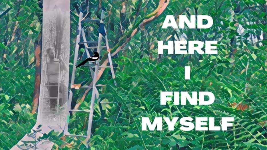 Wayne Steven Jackson: And Here I Find Myself