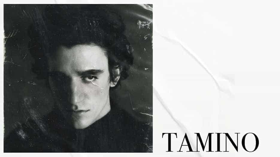 Tamino