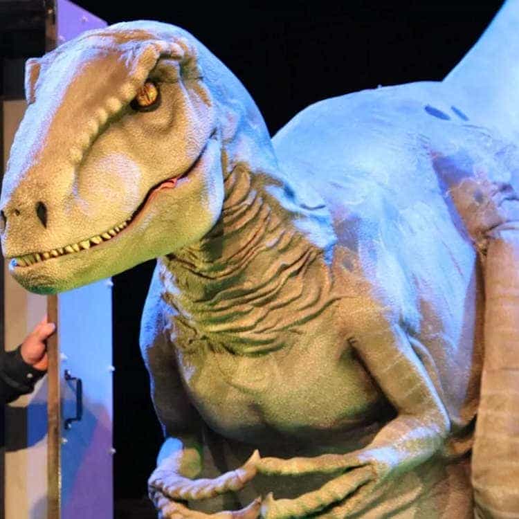 Jurassic Live