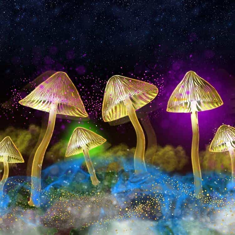 The Science of Psychedelics with Dr. Chris Timmermann