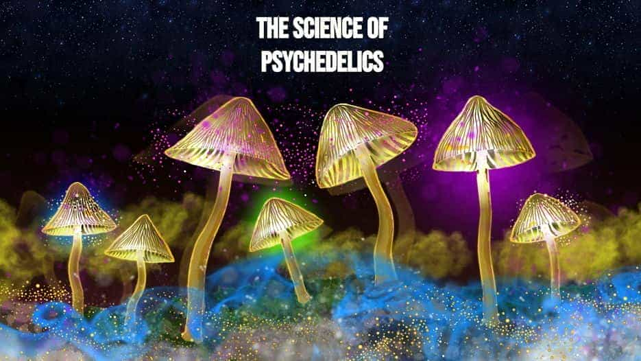 The Science of Psychedelics with Dr. Chris Timmermann