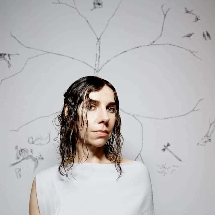 PJ Harvey - Orlam: A Conversation