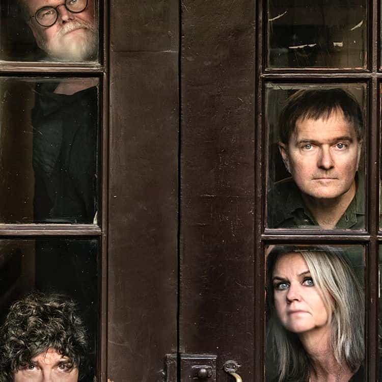 The Wannadies