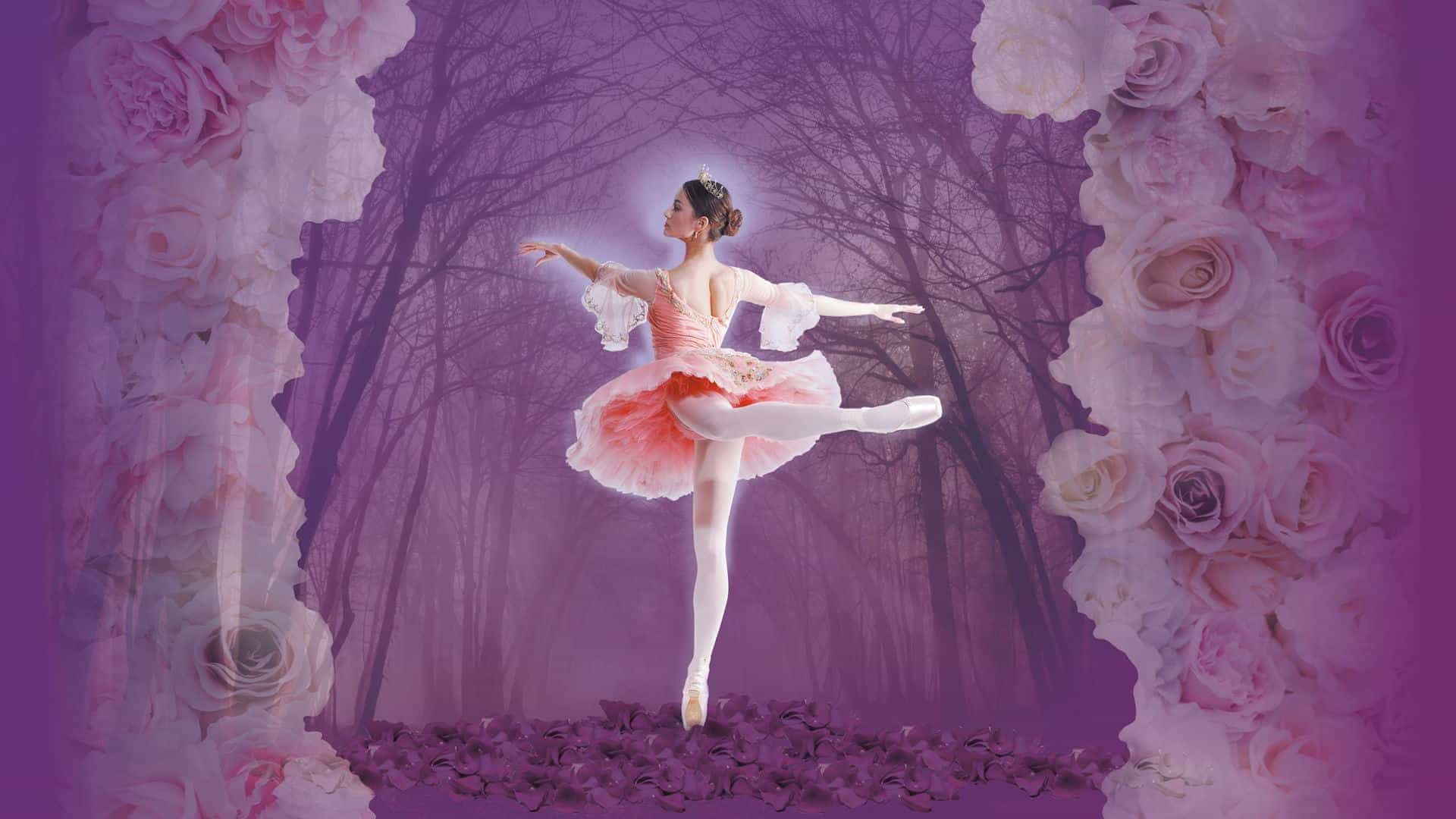 Classical Ballet and Opera House - Sleeping Beauty