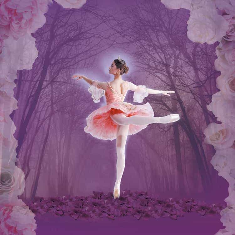 Classical Ballet and Opera House - Sleeping Beauty