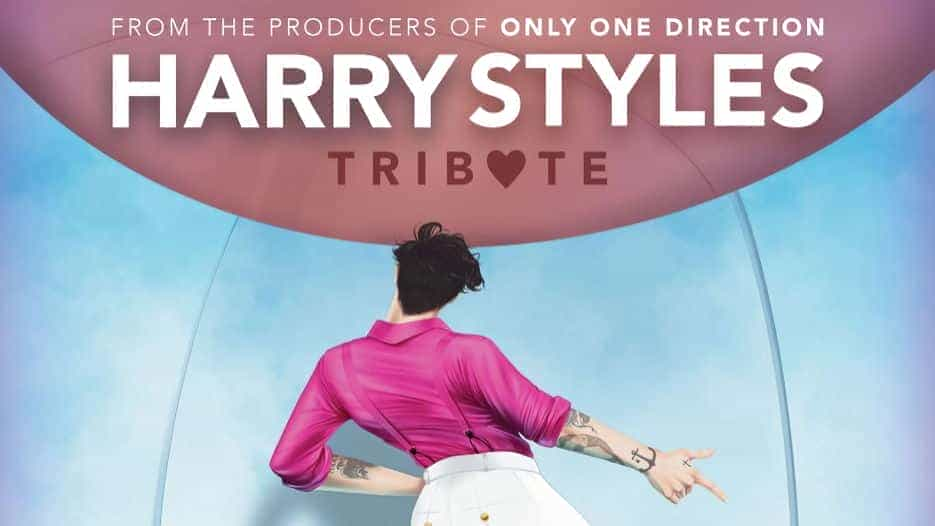 Harry Styles Tribute