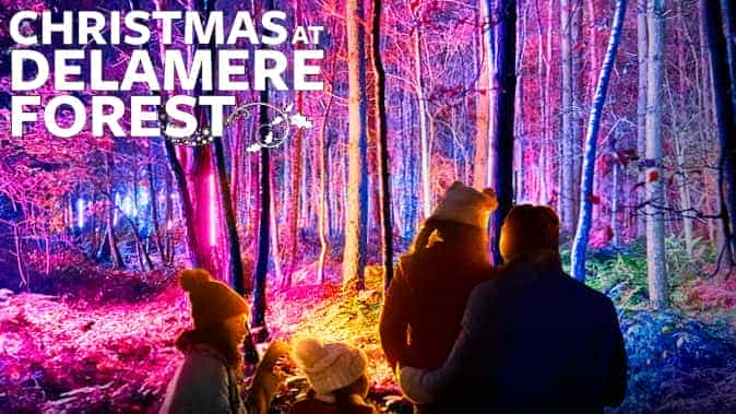 Christmas at Delamere Forest