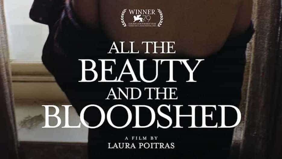 All the Beauty and the Bloodshed (18)