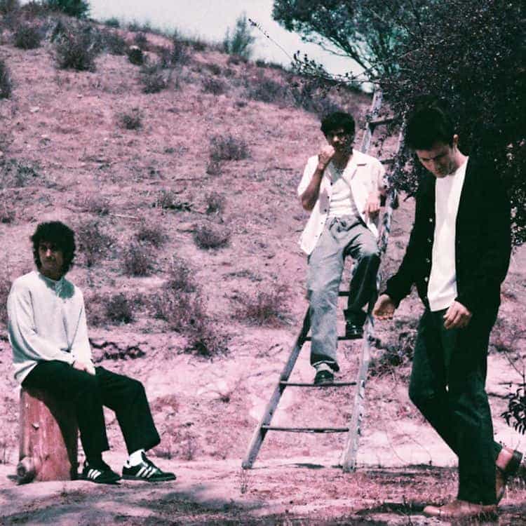 Wallows
