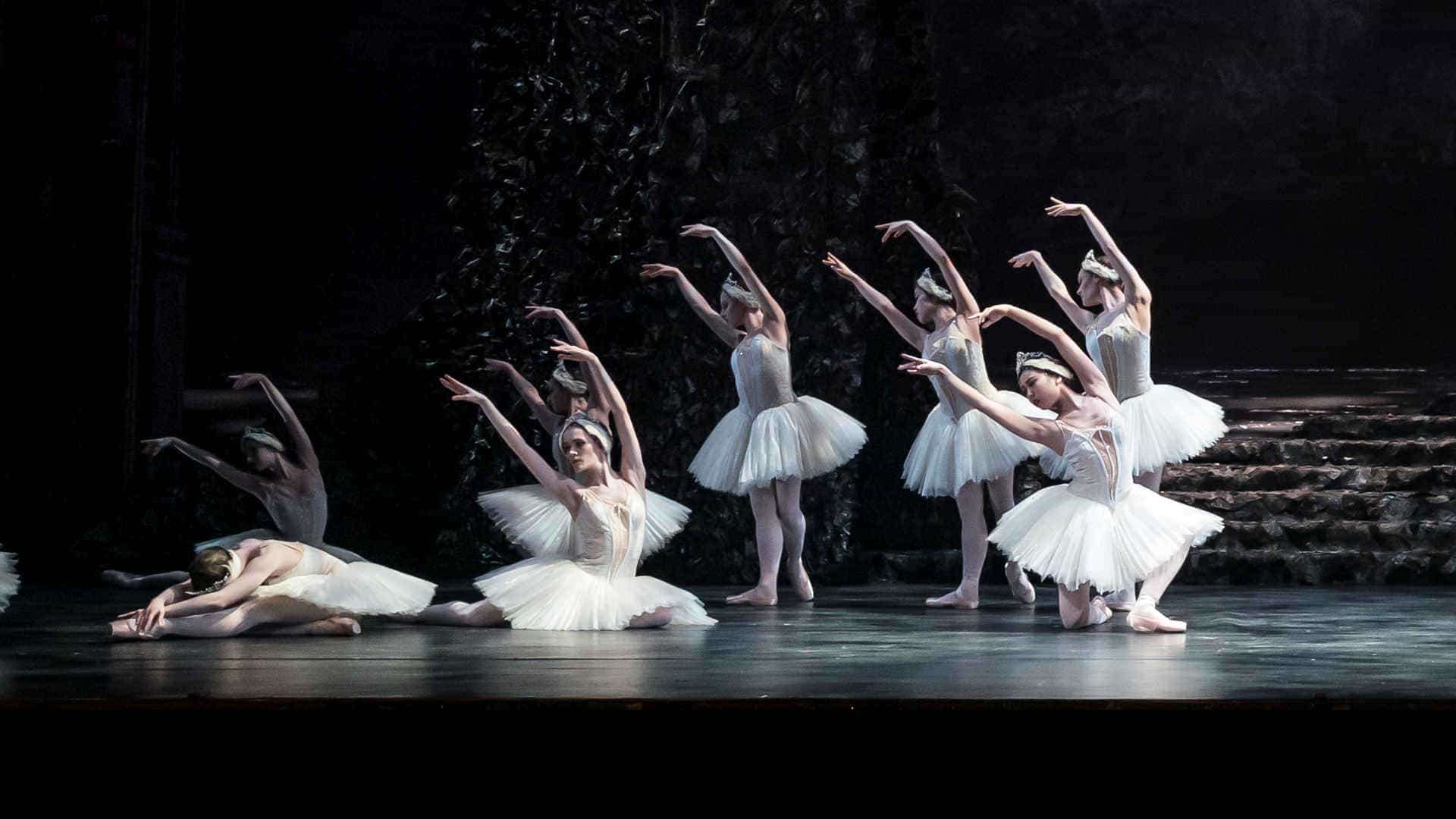 Birmingham Royal Ballet - Swan Lake
