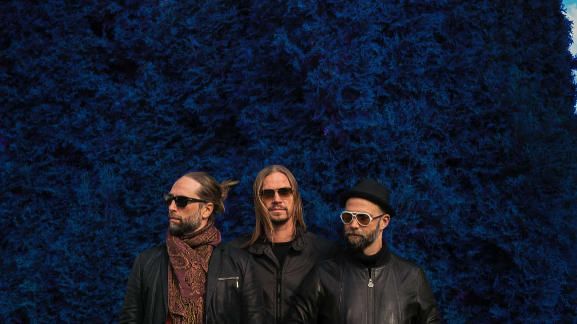 Von Hertzen Brothers