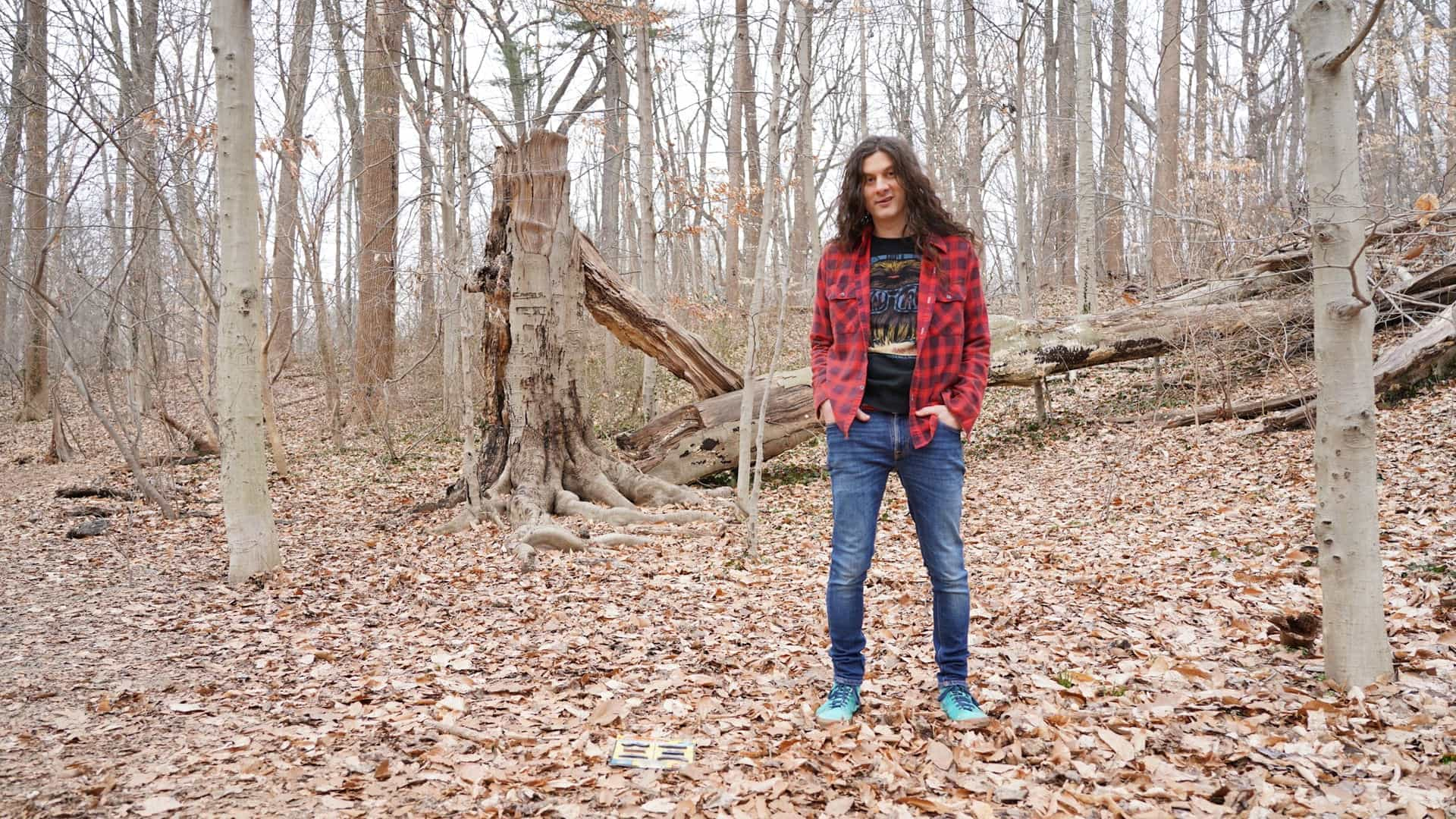 Kurt Vile and the Violators