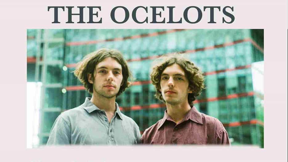 The Ocelots