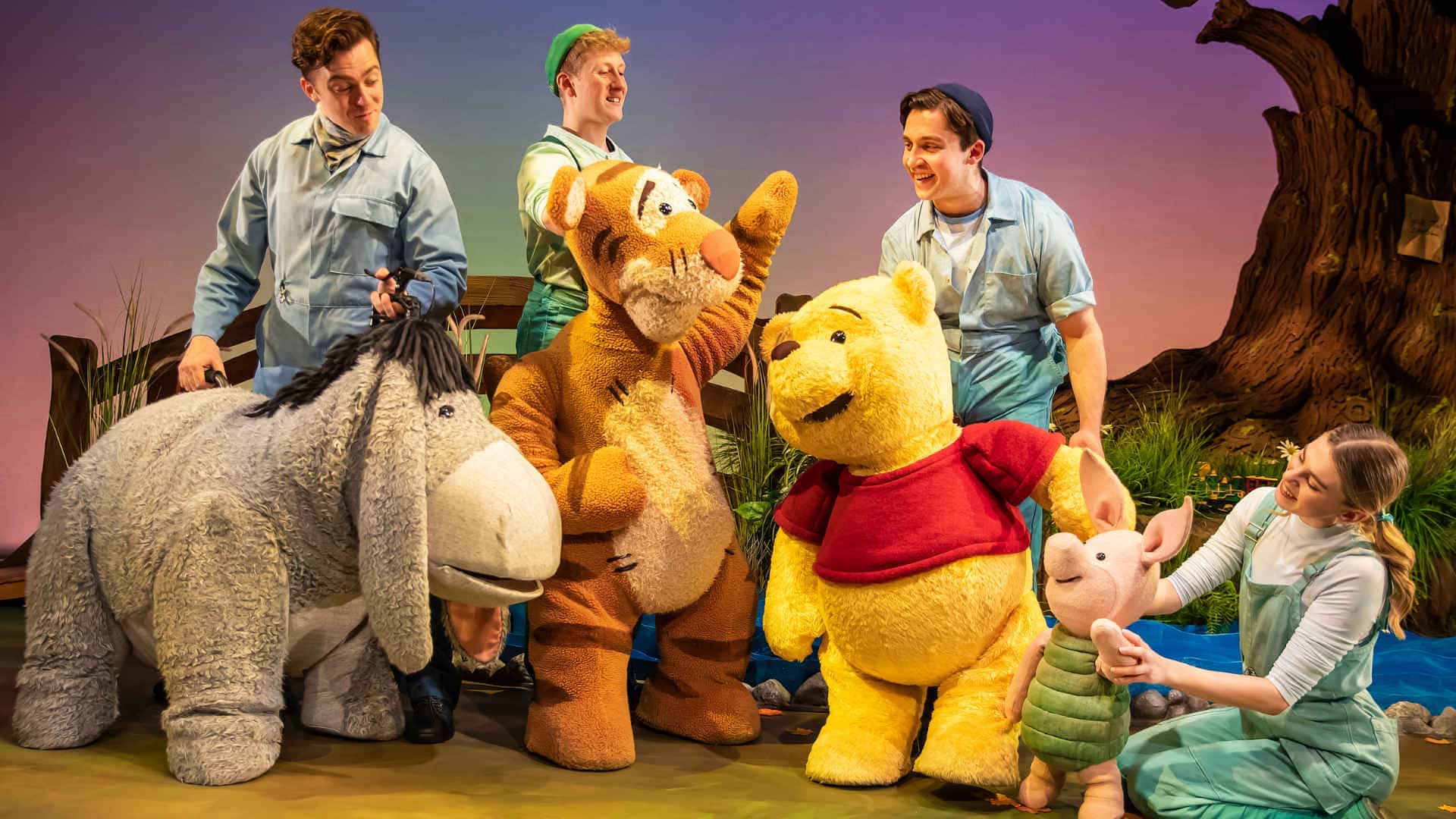Disney's Winnie The Pooh