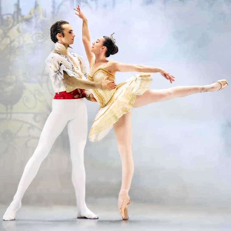 Varna International Ballet - Sleeping Beauty