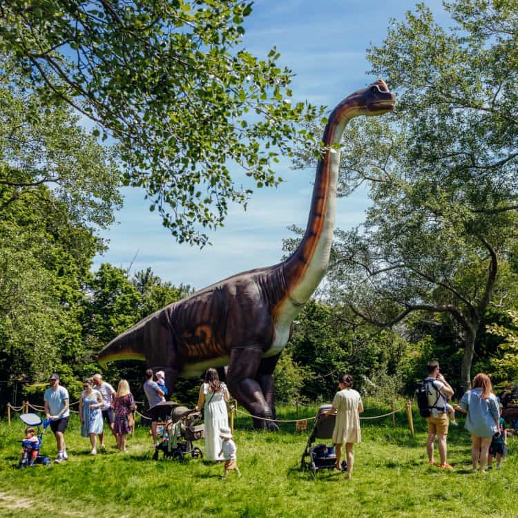 Dinosaurs in the Park