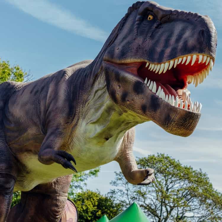Dinosaurs in the Park