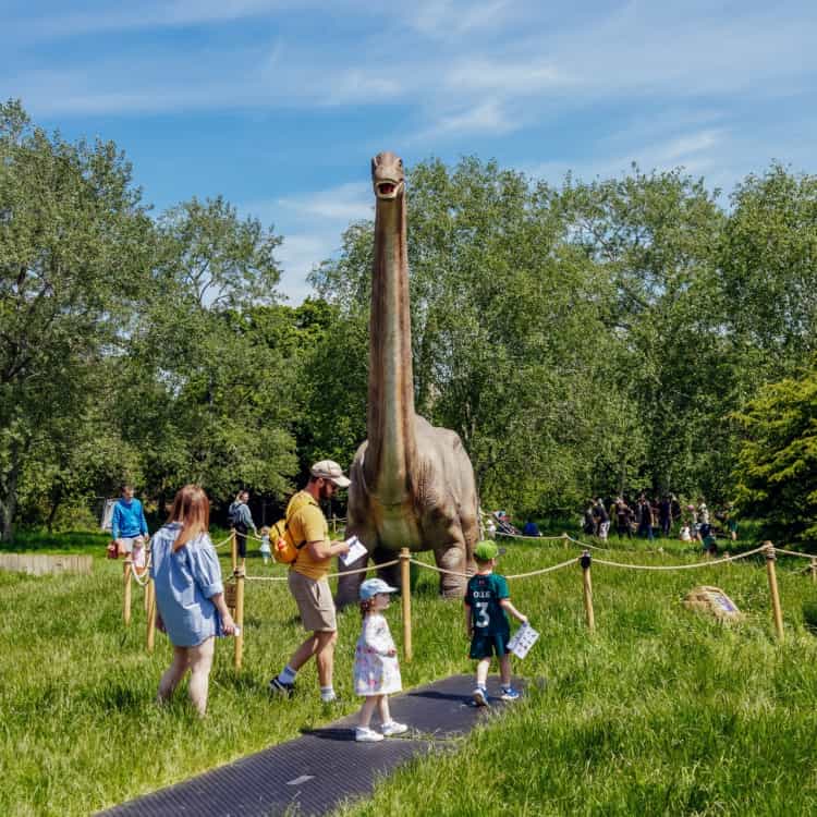 Dinosaurs in the Park