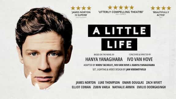 A Little Life (18)