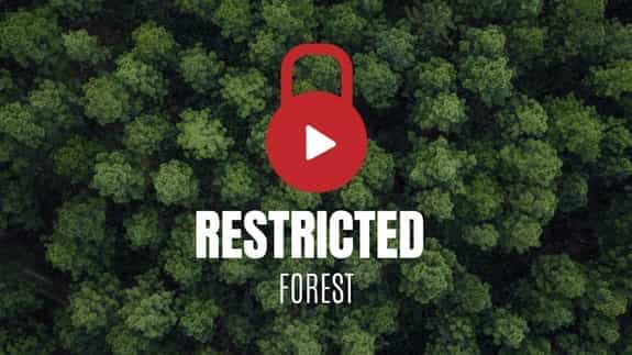 Restricted Forest