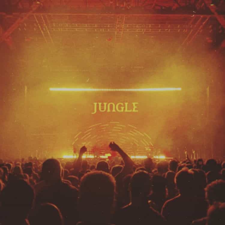 Jungle