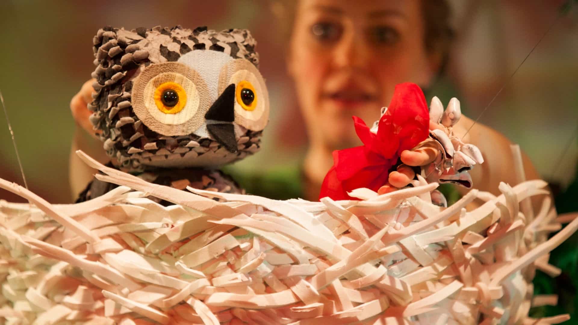 WOW! Said The Owl