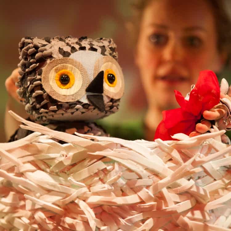 WOW! Said The Owl