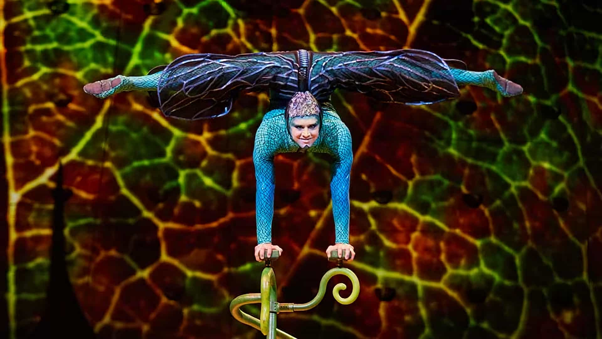 Cirque du Soleil - OVO