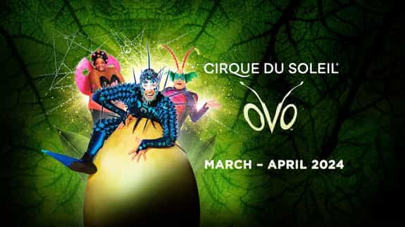 Cirque du Soleil - OVO