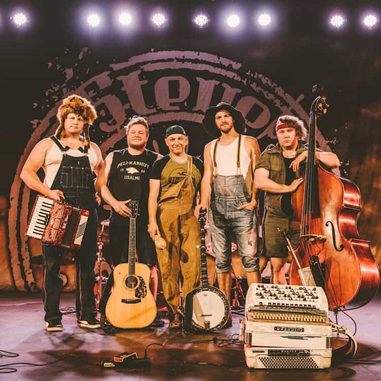 Steve 'n' Seagulls